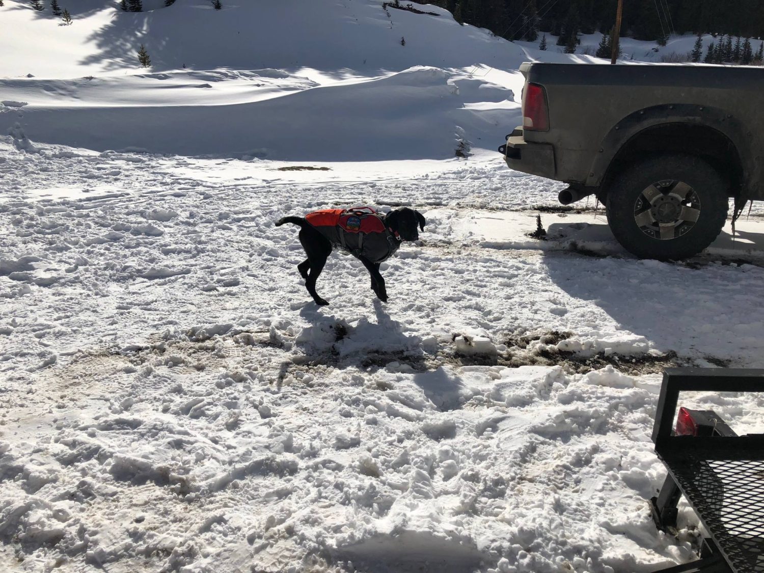leadville, colorado, avalanche, rescue