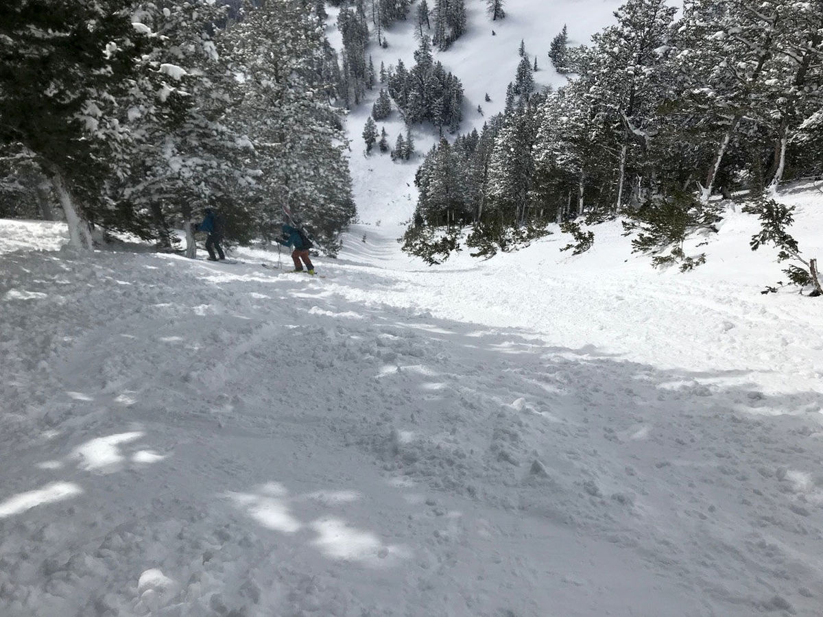 search and rescue, rescue, teton, avalanche