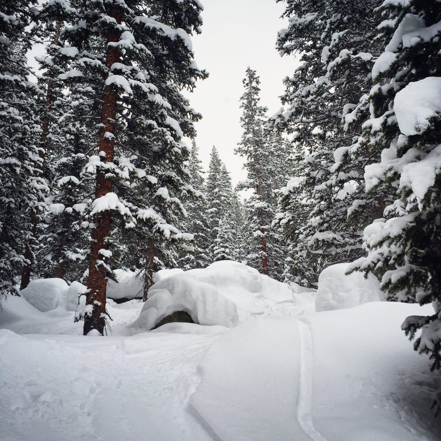 winter park