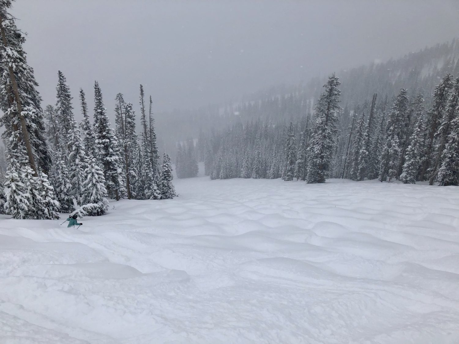 winter park