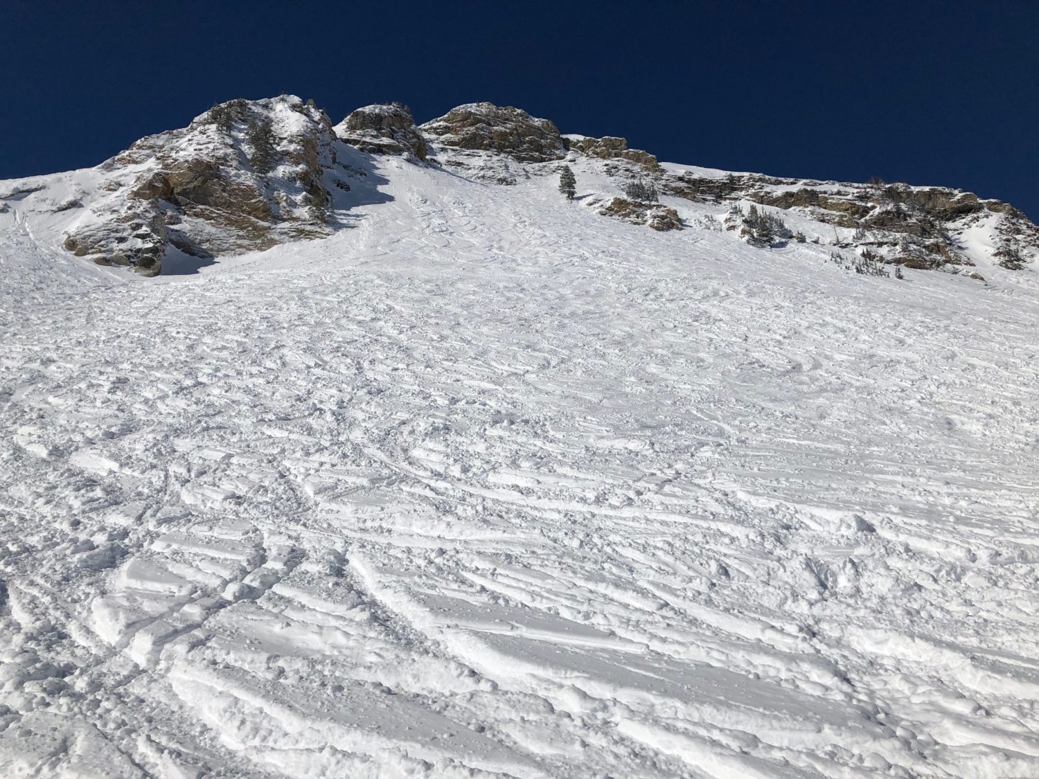 alta