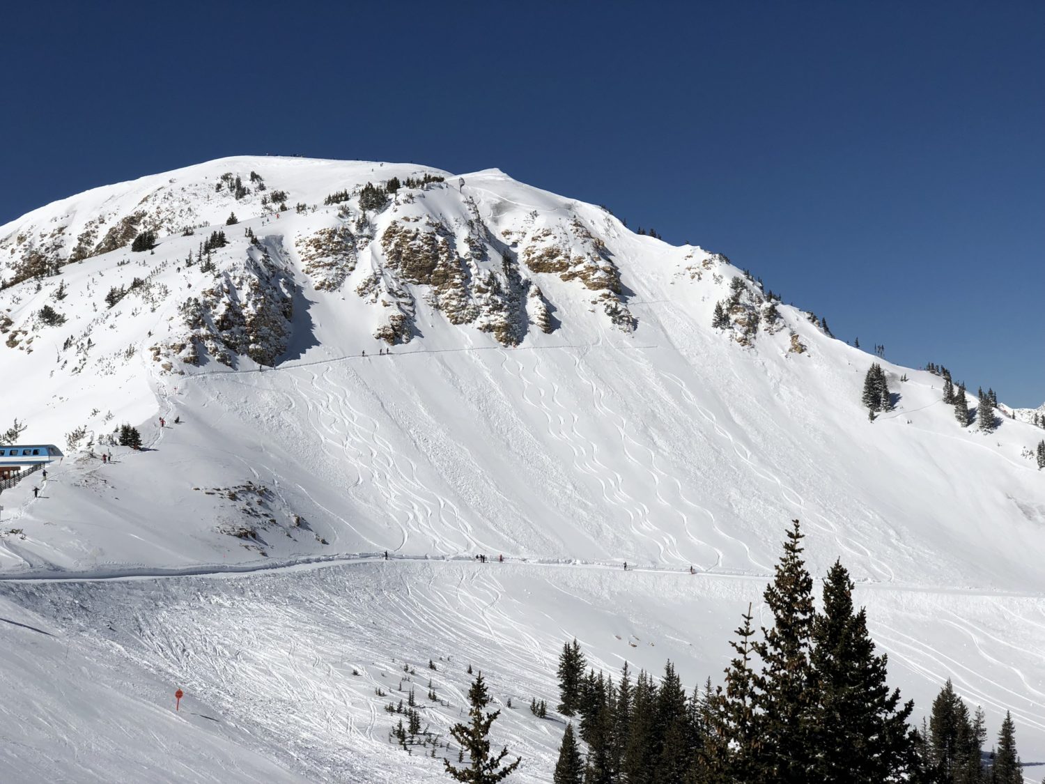alta