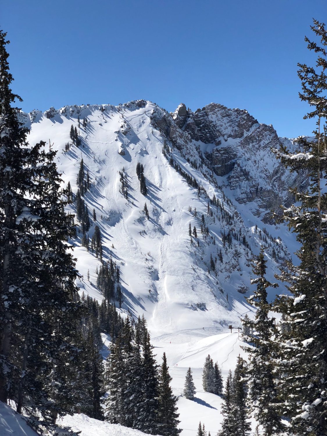 alta