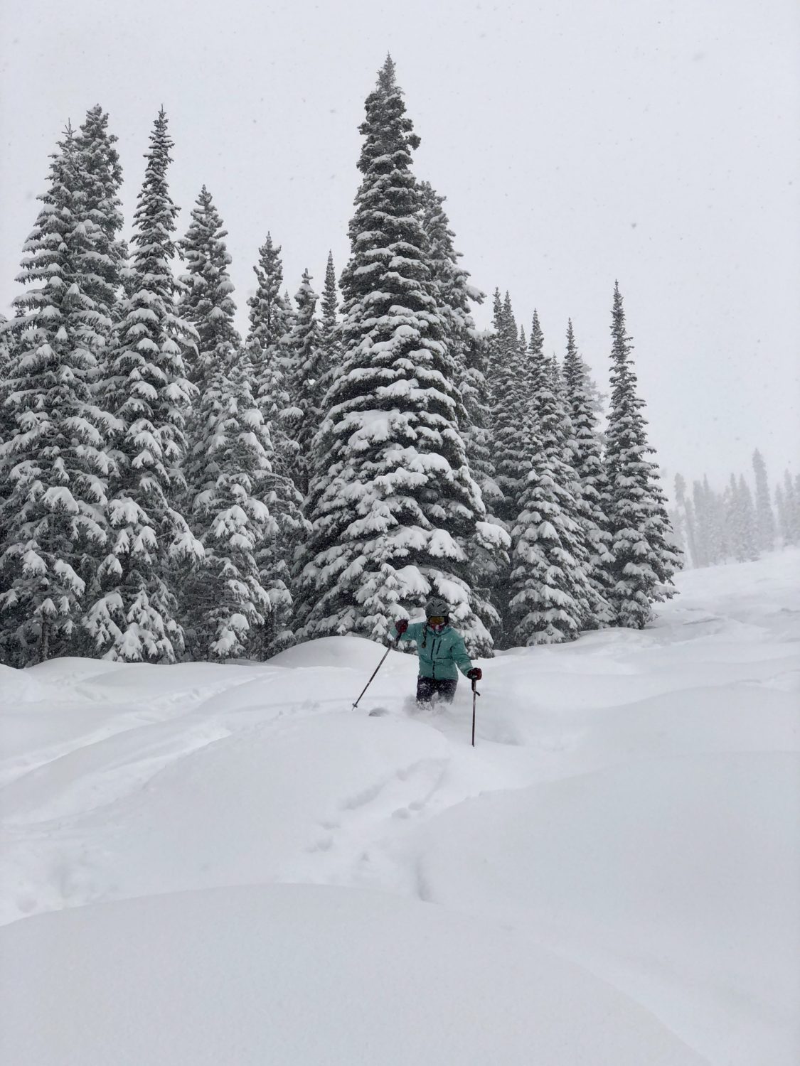 winter park