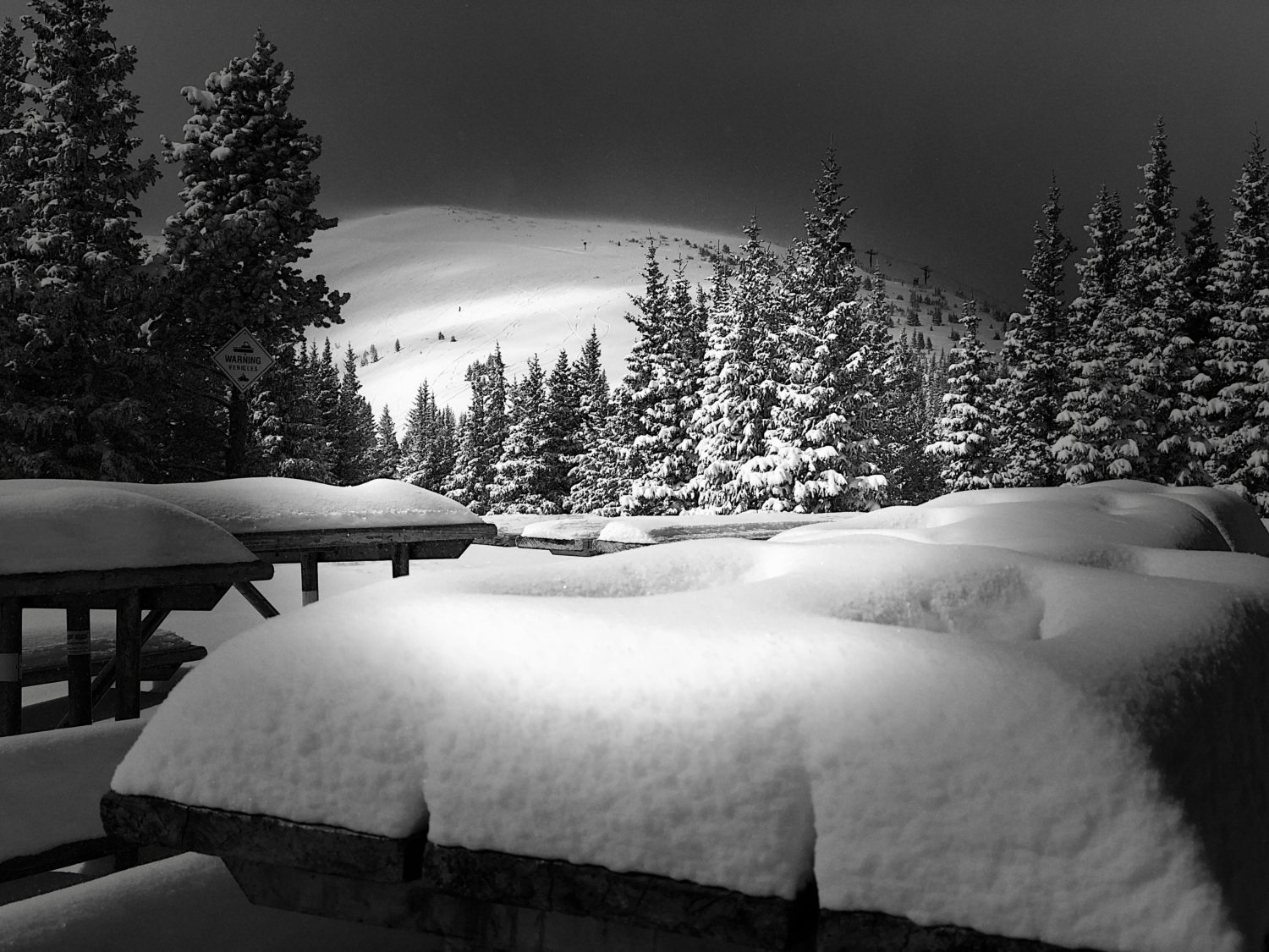 winter park