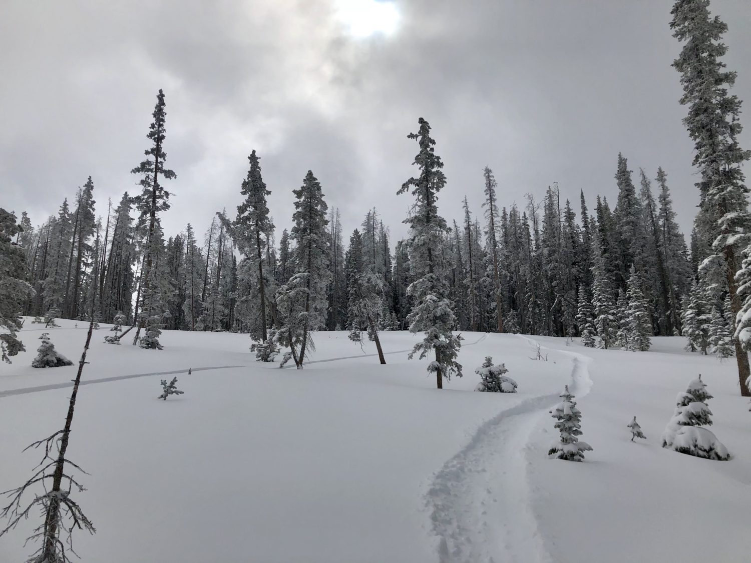 winter park