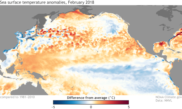 NOAA, enso, la nina, el niño, conditions, neutral, spring, summer, sea temperatures