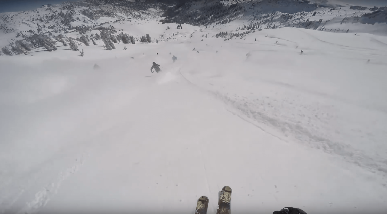 snowbird, rope drop, powder, crazy, frenzy, utah