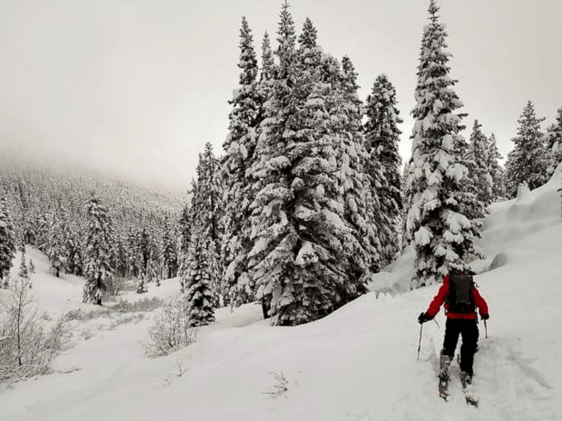 diamond peak, Nevada, lost skier, rescued