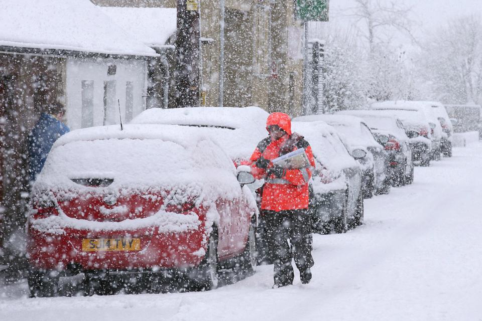 beast, beast from the east, britain, siberian