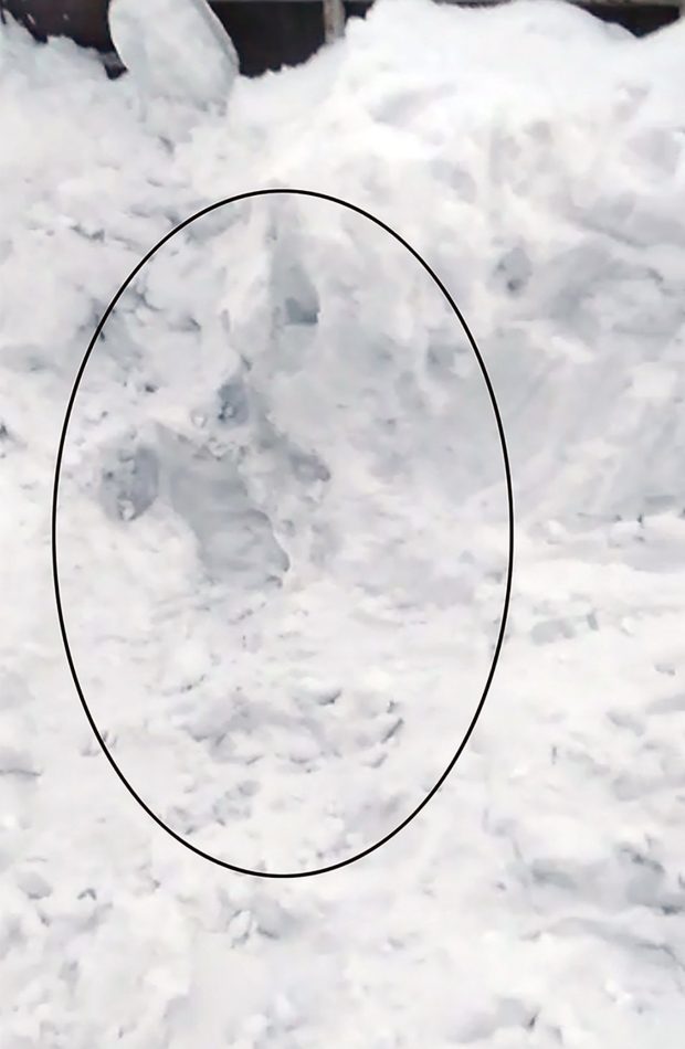 russia, buried, snow, roof slide
