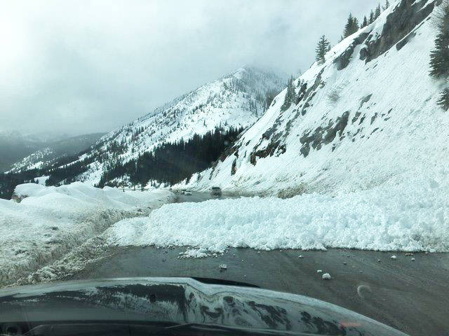 avalanche, kootenay pass,