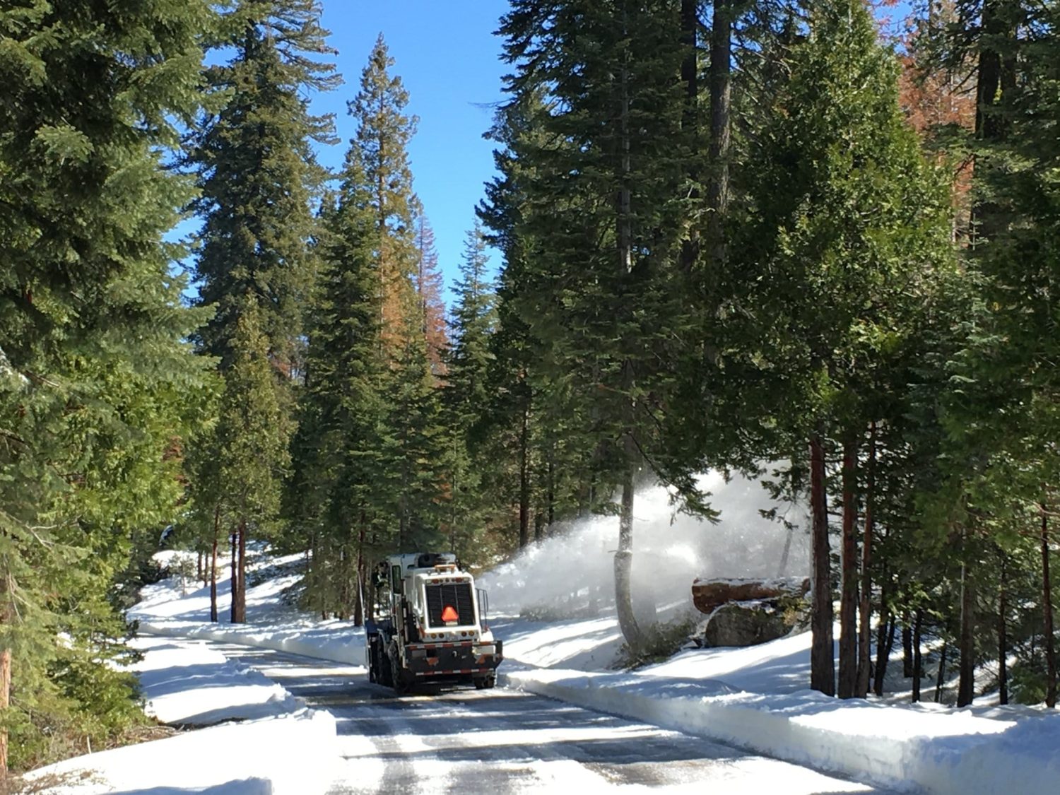 sonora pass