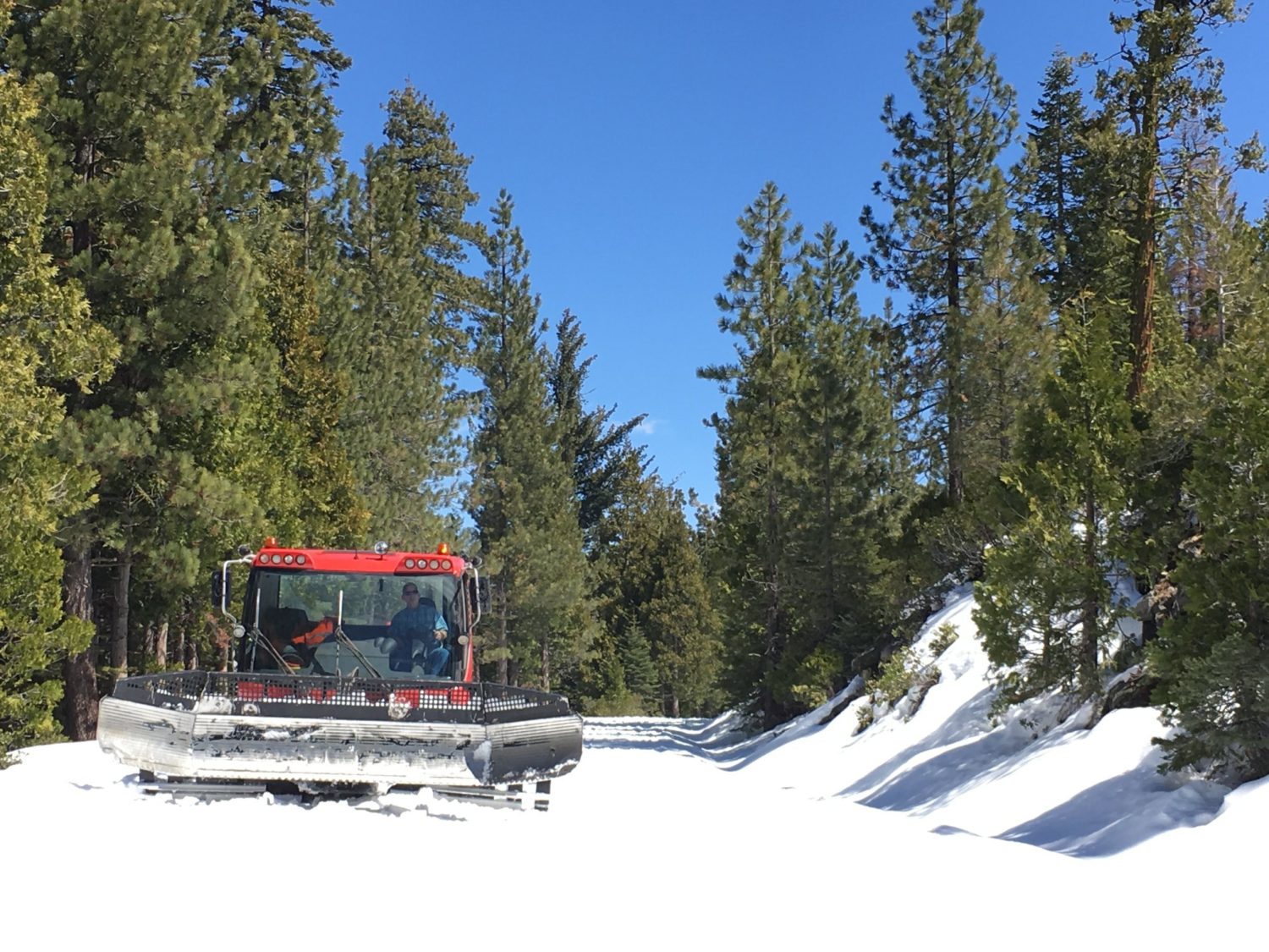sonora pass