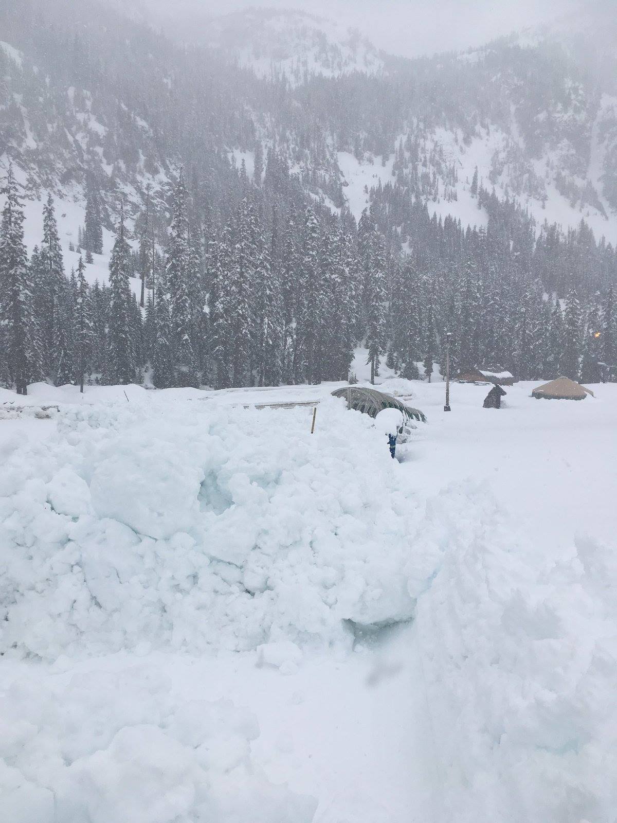 alpental, avalanche
