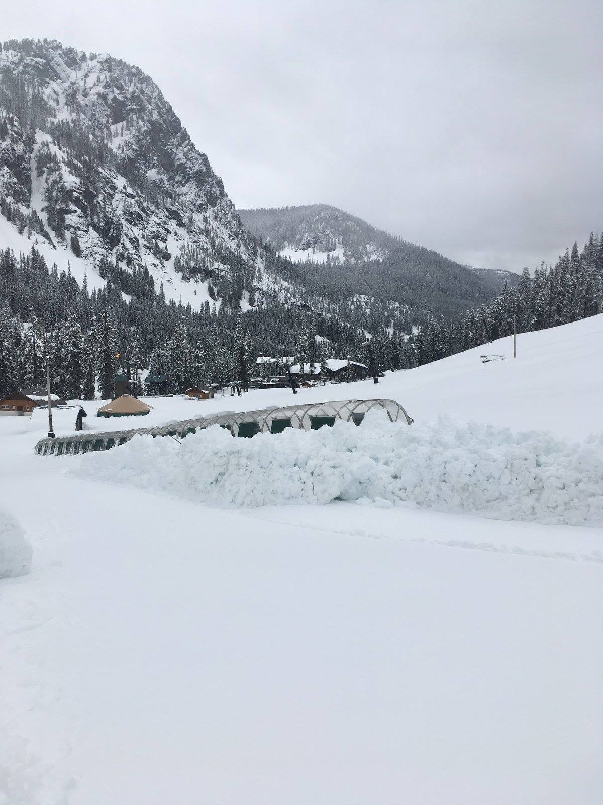 alpnetal, avalanche, Washington