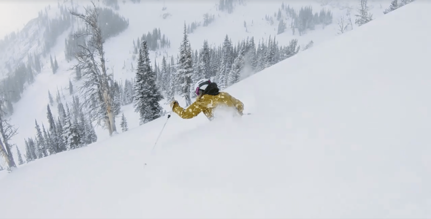 Jackson hole