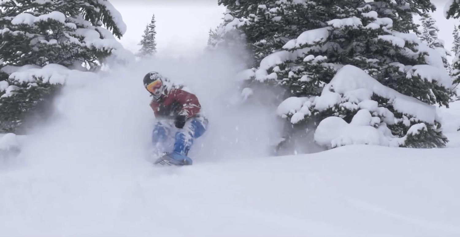 kicking horse, 