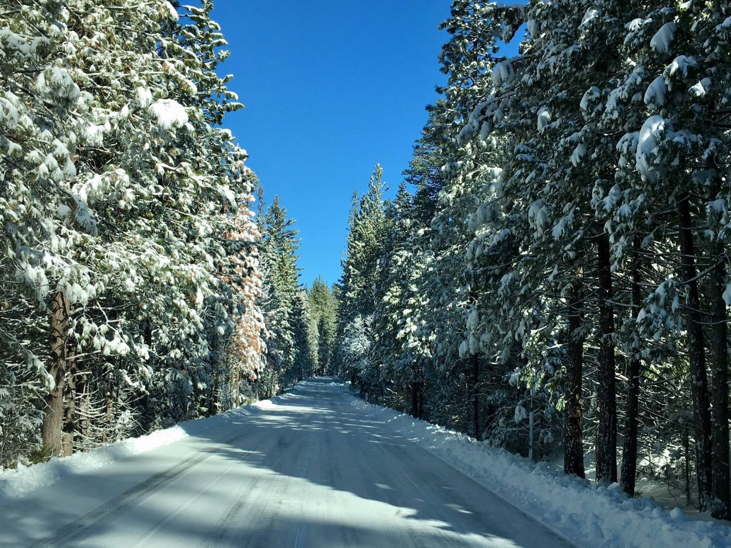 sonora, Ebbetts, tioga, pass, california, open, caltrans