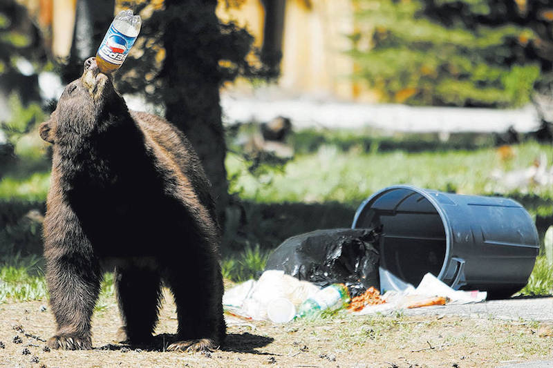 Lake Tahoe cleanup