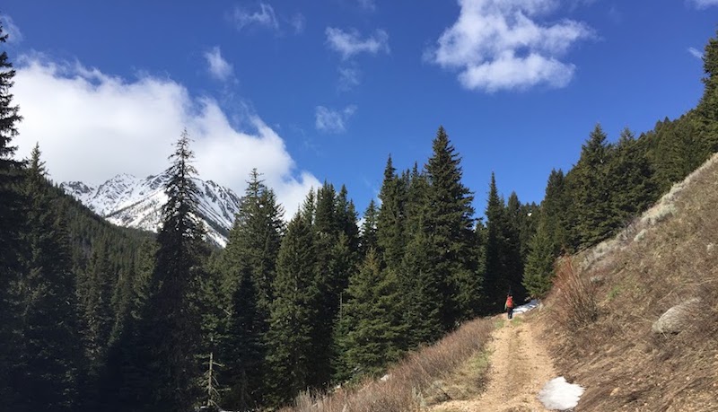 tobacco roots spring skiing