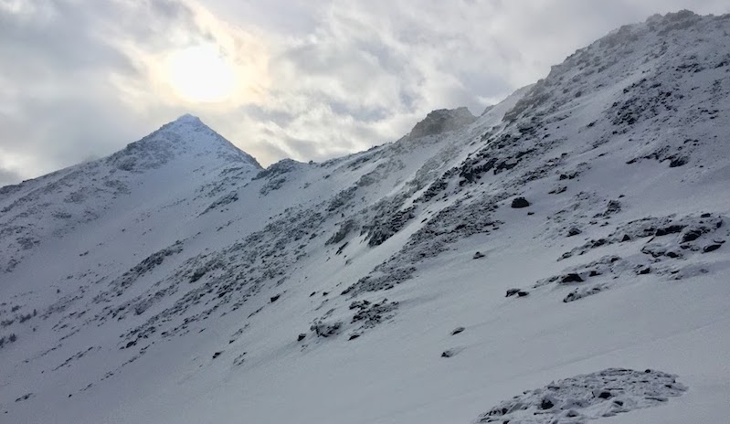 Tobacco roots skiing