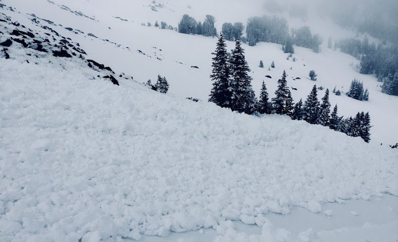 Branham Avalanche
