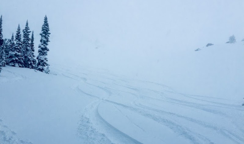 May powder skiing