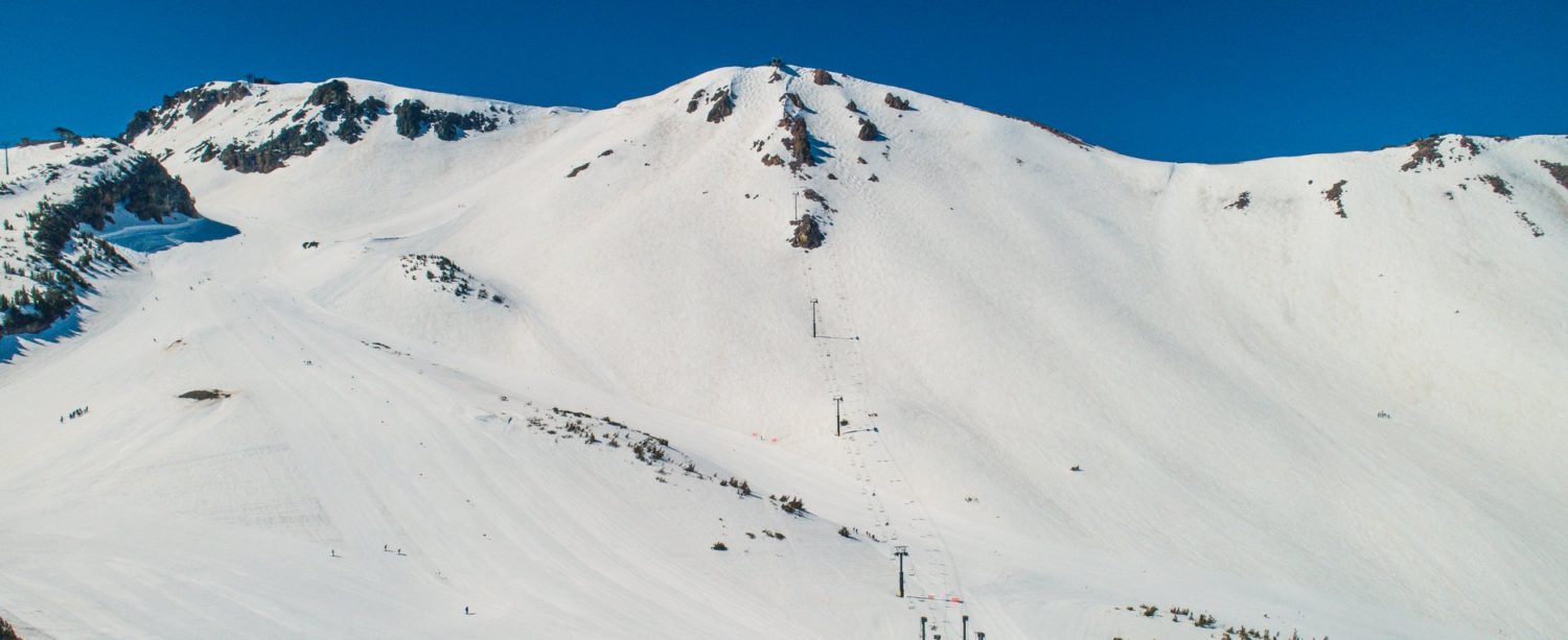 mammoth