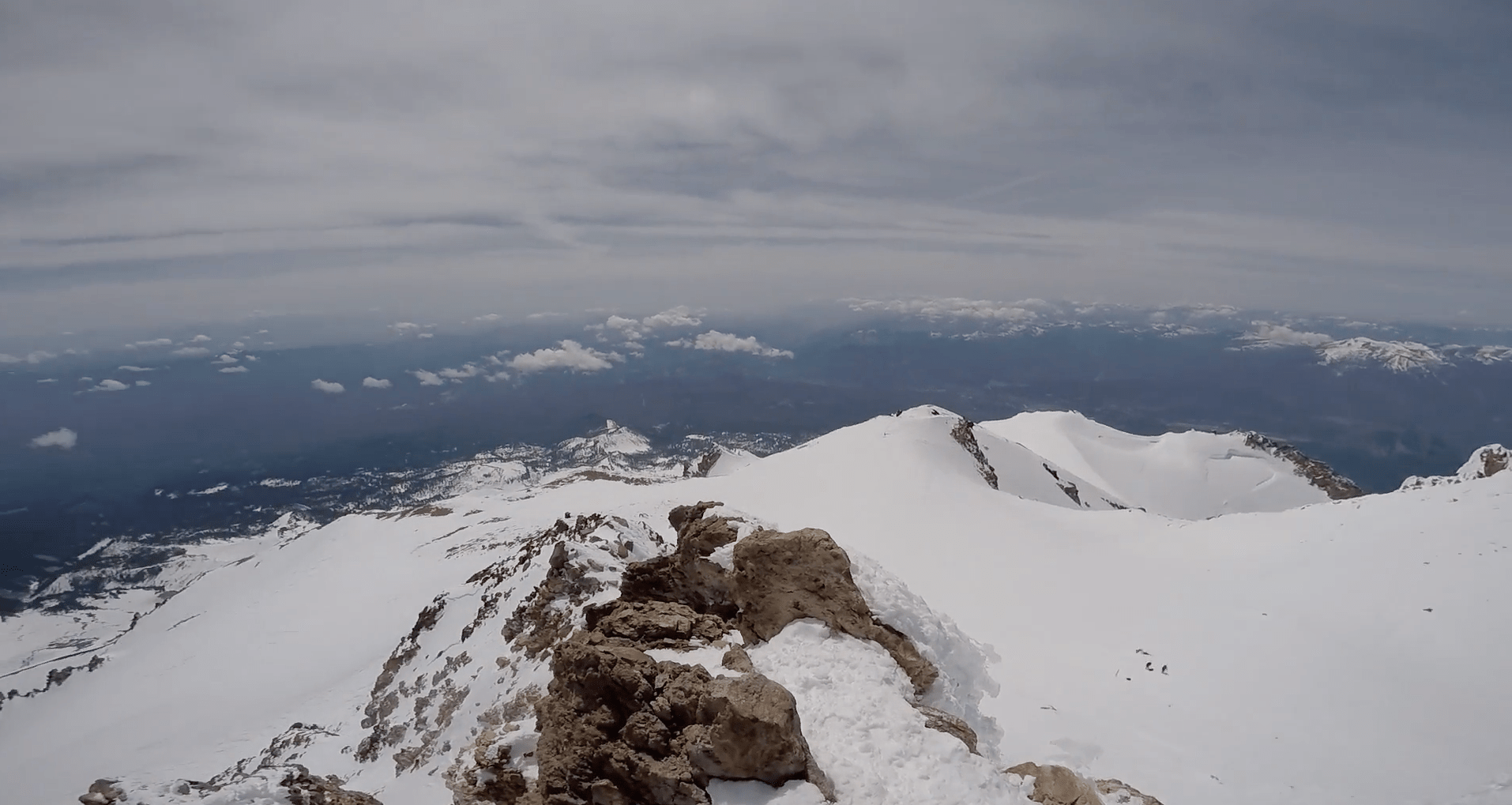 Shasta