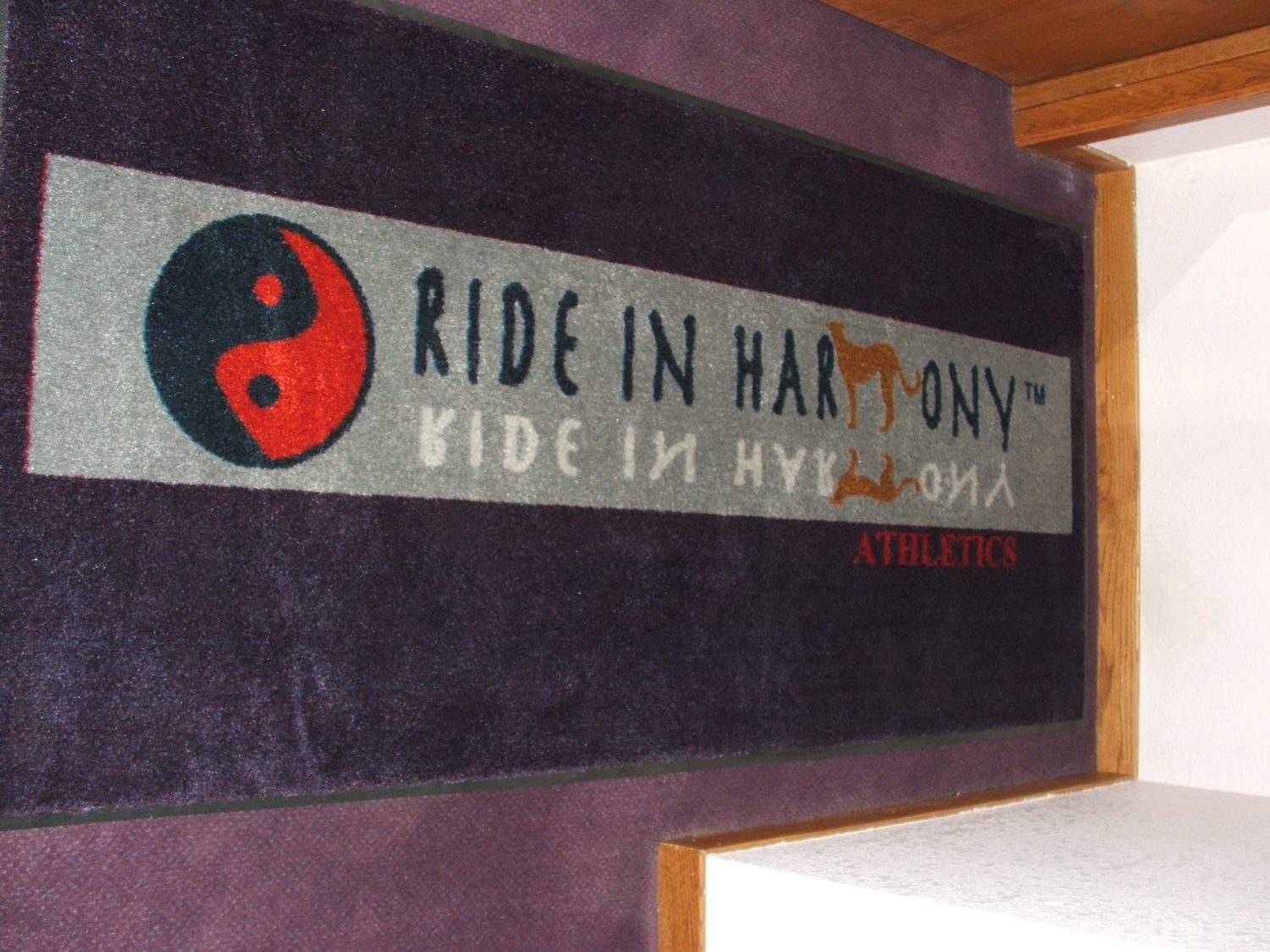 ikon, icon, alterra, ride in harmony,  cease and desist