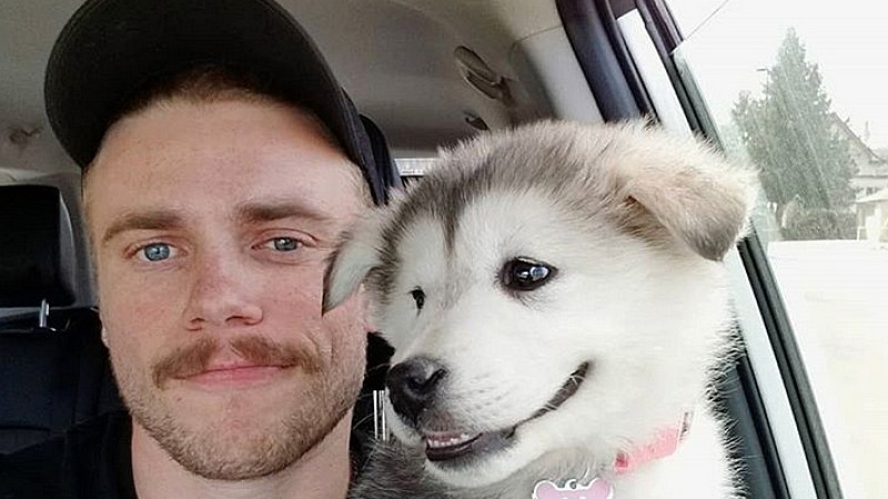 gus kenworthy, dog, beemo