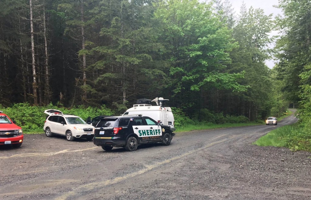 cougar, snoqualmie, Washington