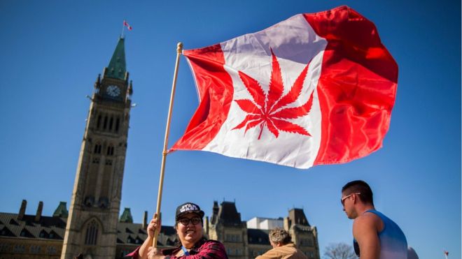 cannabis, canada, legalize, marijuana