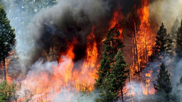 wildfires