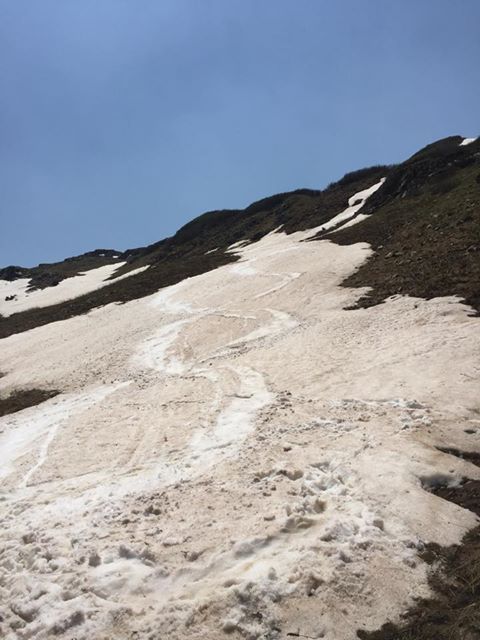 snow, season report