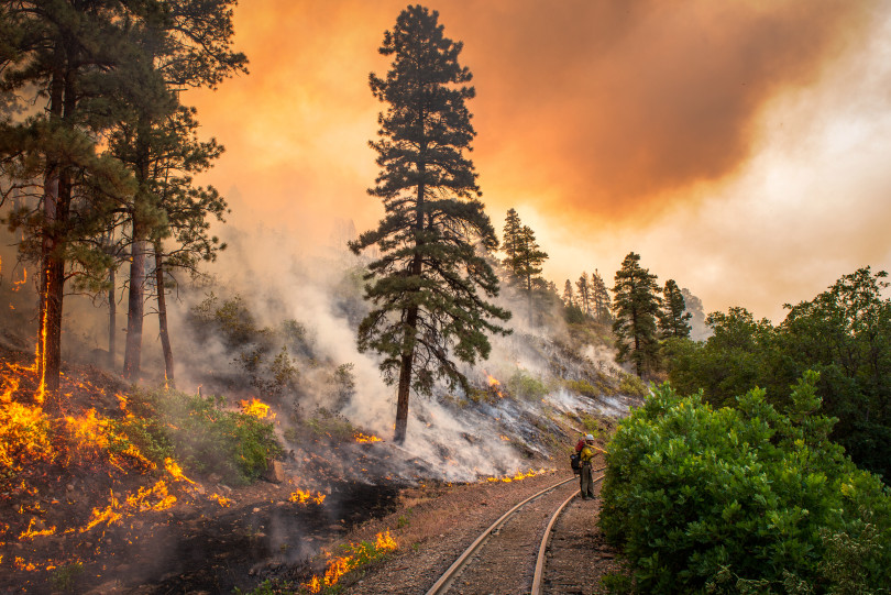 wildfire, blaze, colorado