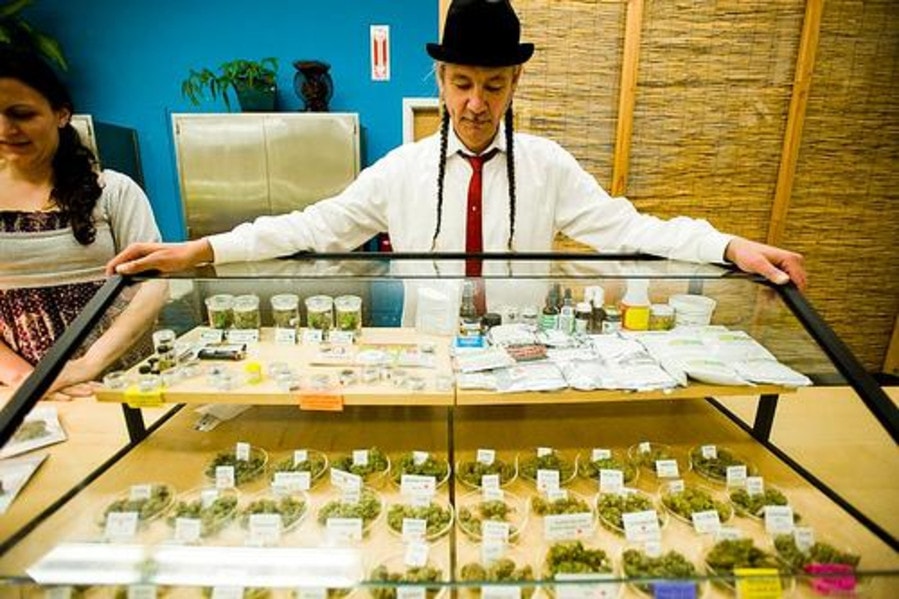 bud, marijuana, california, weed, cannabis, hash, pot, california