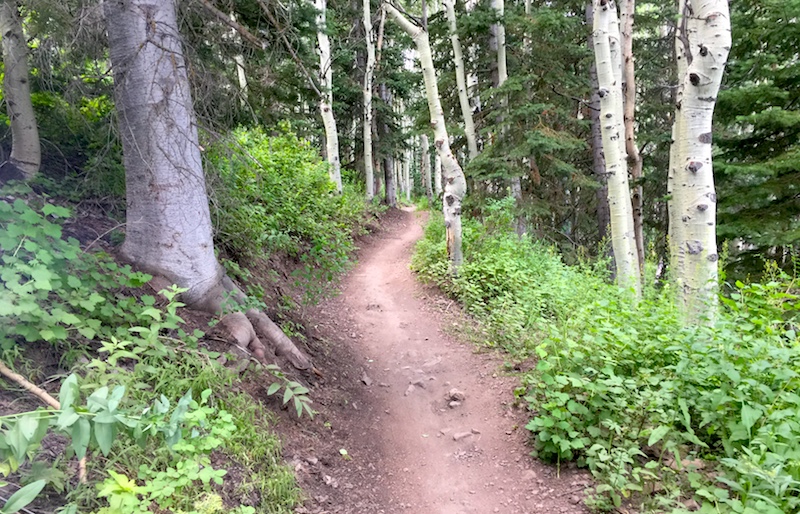 Park City