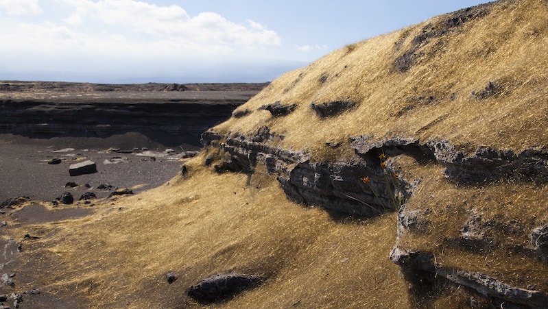 Pele's Hair