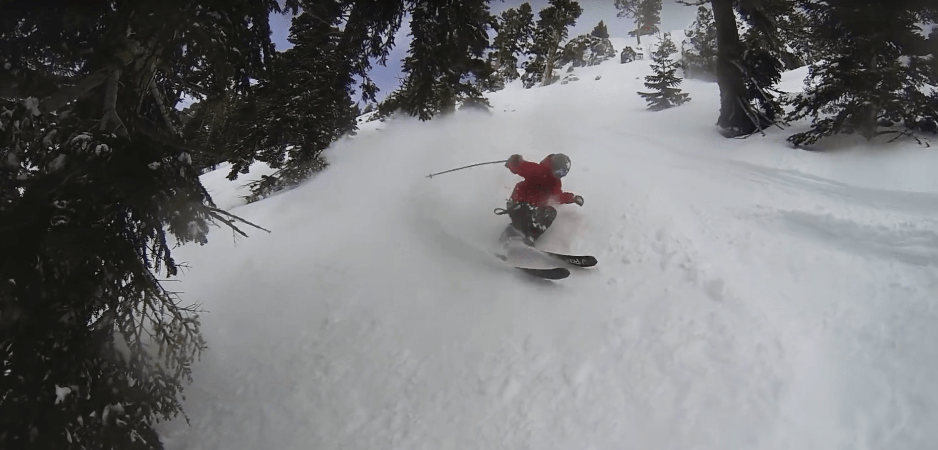 squaw