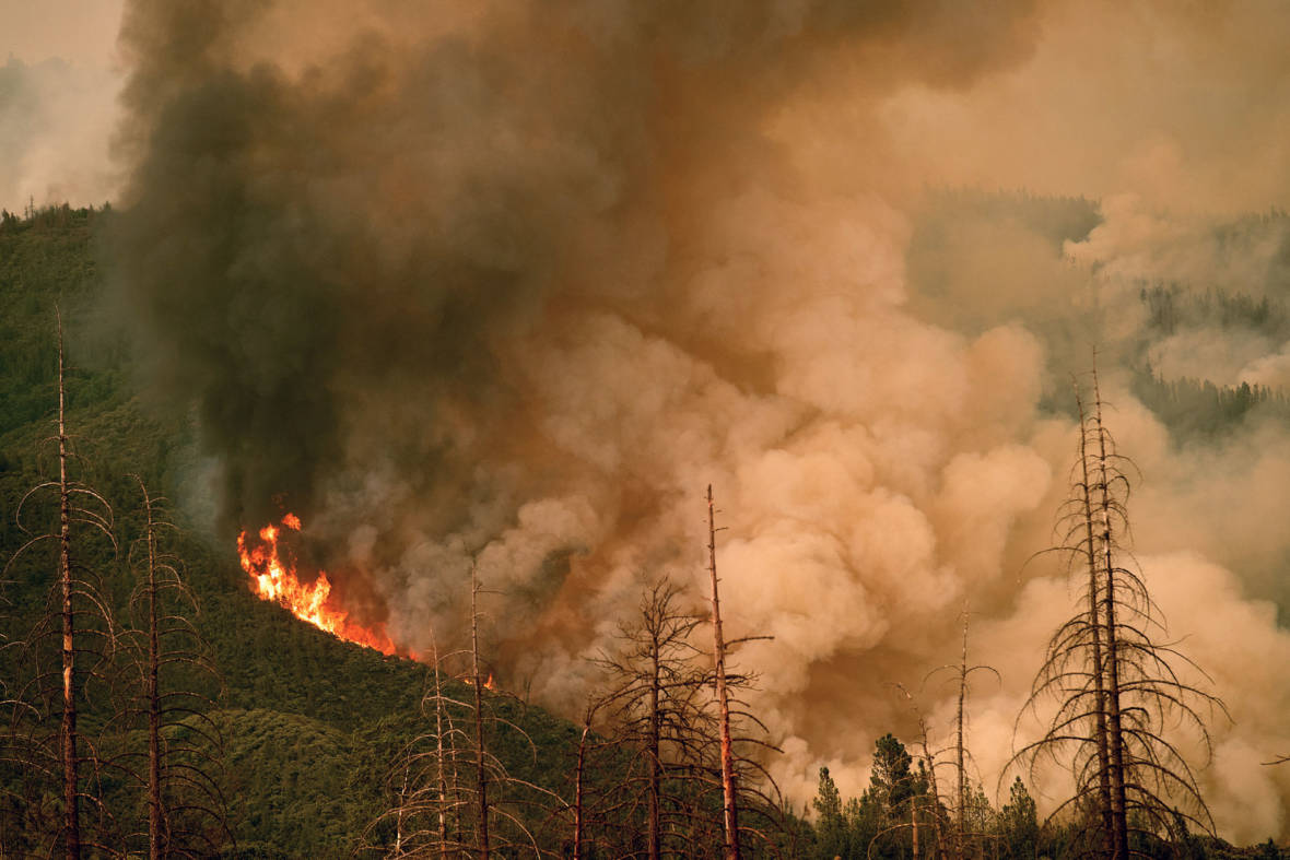 Carr fire, Ferguson fire, california