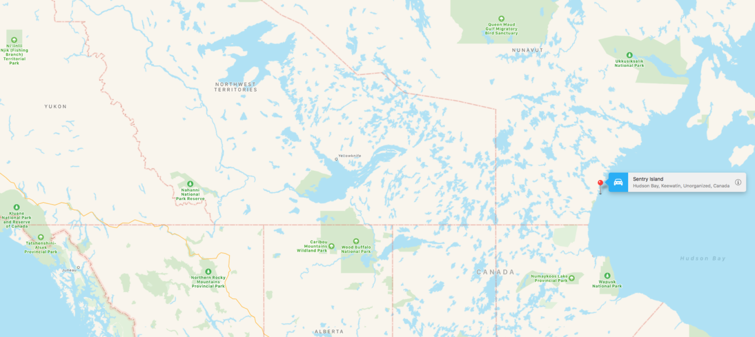 polar bear, canada