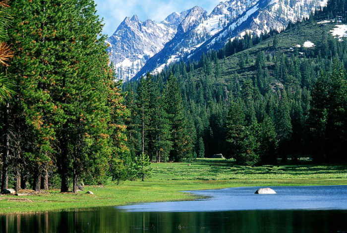 Alps