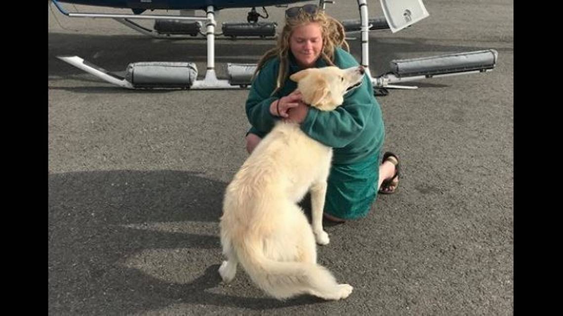 husky, Alaska, rescue, deaf hiker