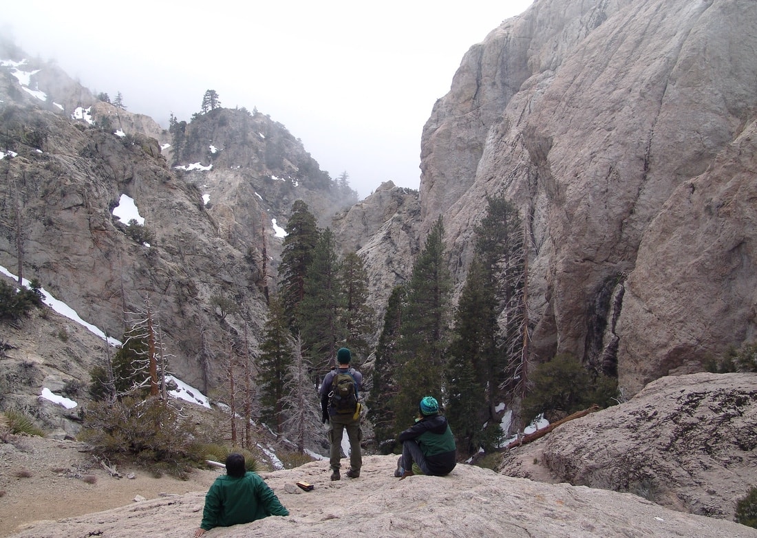 Williamson rock, climbing, frog, peregrine falcon, endangered, socal