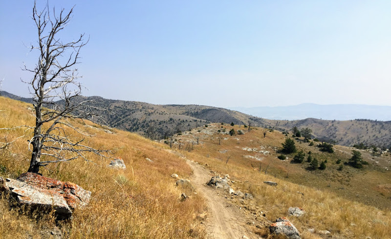 trails