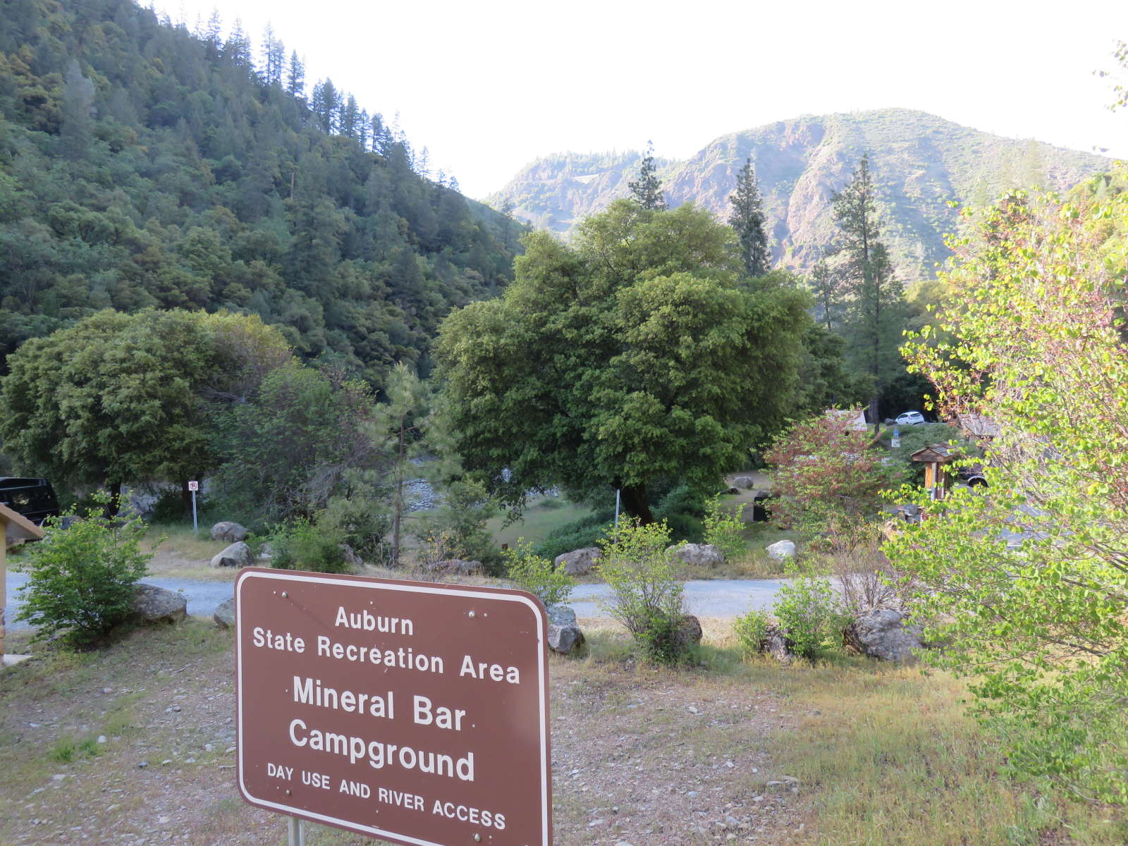 rabid bat, california, auburn state recreation park