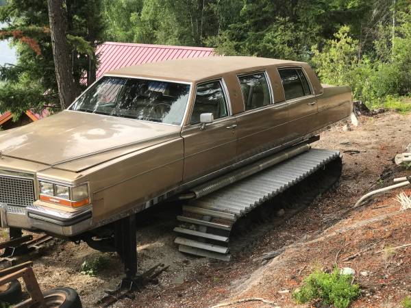 snowcat, limo