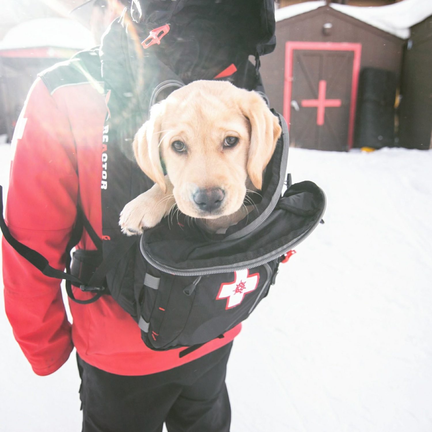 Emma, vail, colorado, digital, assistant